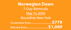 Norwegian Dawn 7-day eastern Caribbean  February 21, 2009 from $779